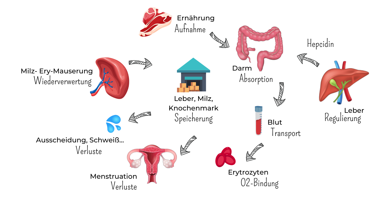Überschrift hinzufügen (1500 × 800 px)