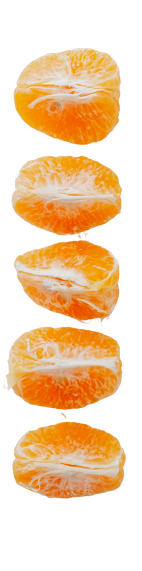 ö Deborah Rittwagen
