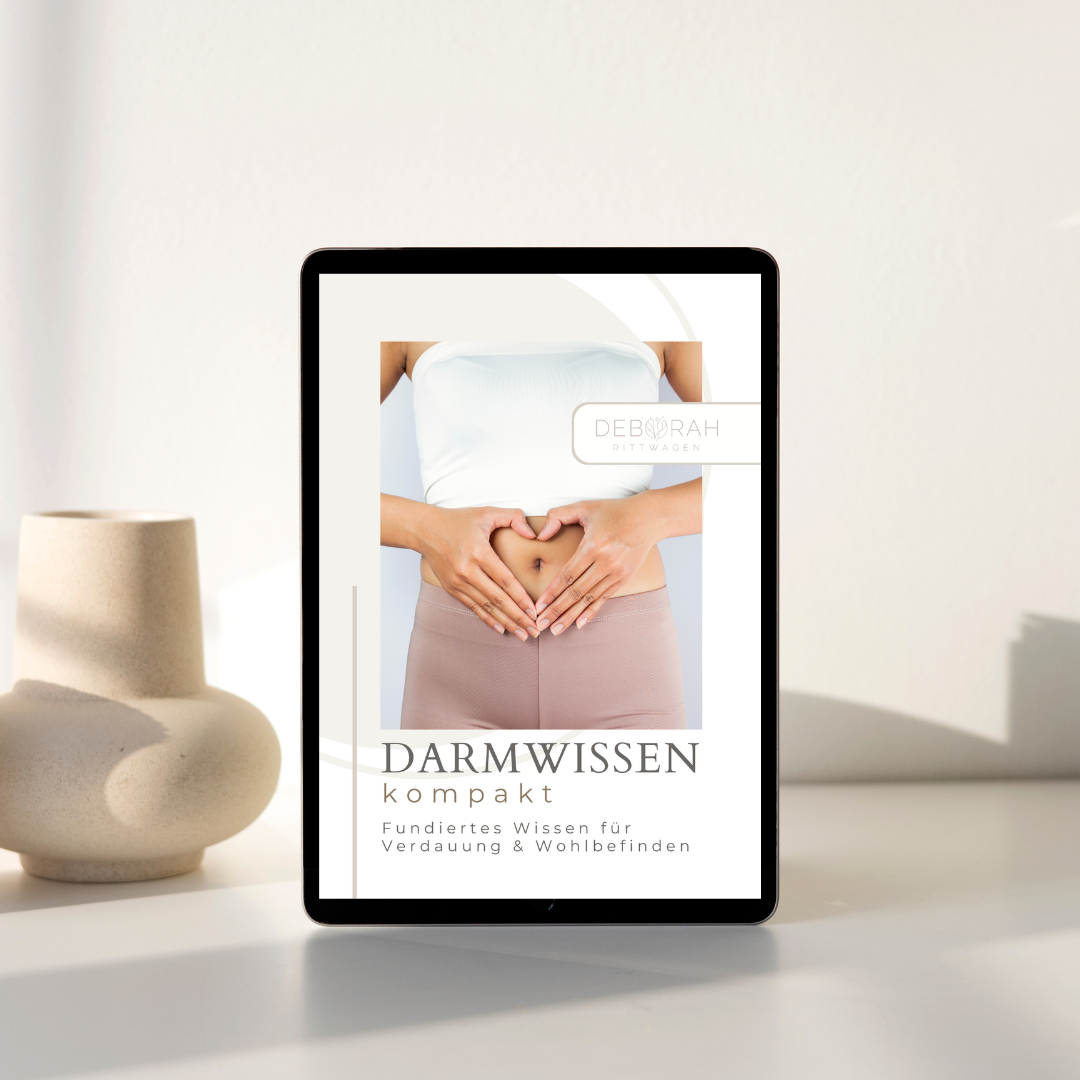 Darm Basics E-Book